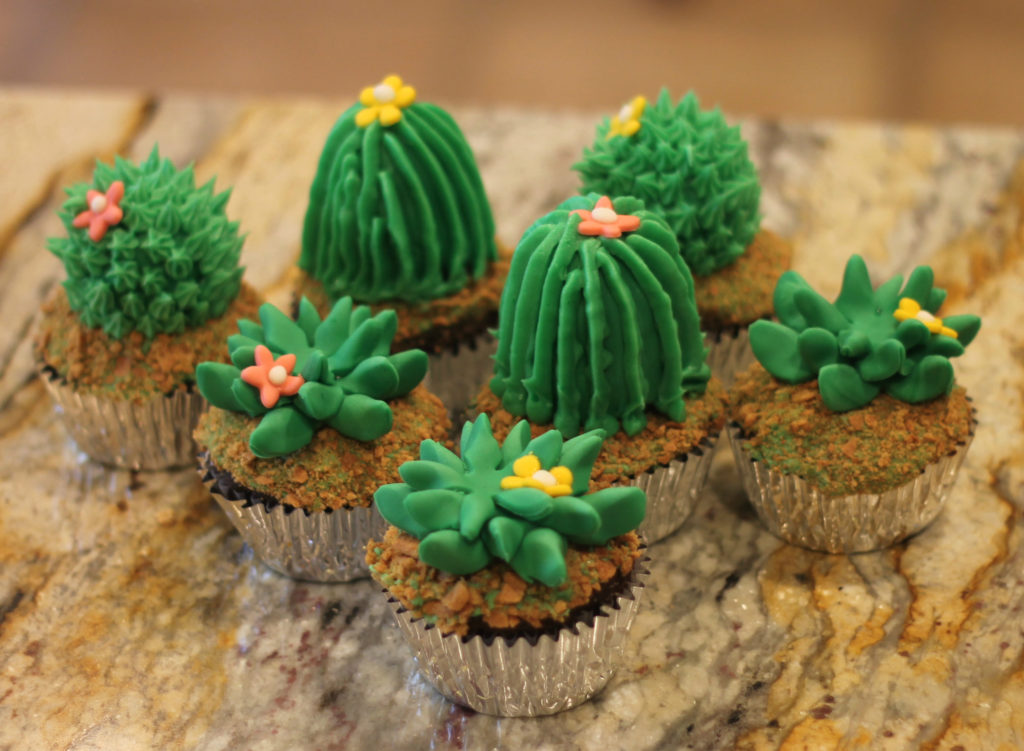 cactus-1