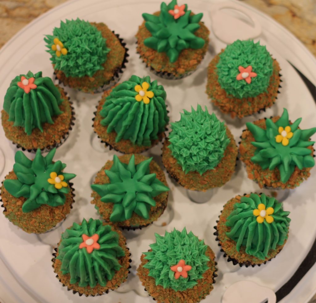 cactus-3